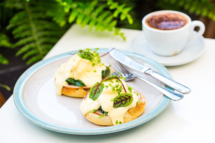 Crowne Plaza Coogee Beach breakfast photograph (1024 x 683px) Crowne Plaza Coogee Beach breakfast buffet