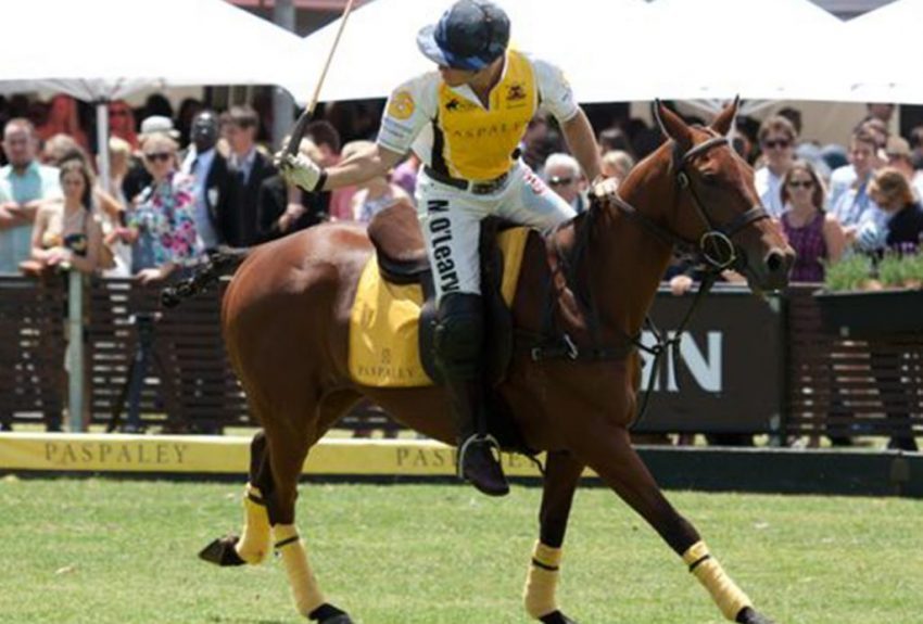 Polo in the City, Centennial Parklands, Evenfinda (1300 x 880px) Polo in the City, Centennial Parklands, Eventfinda